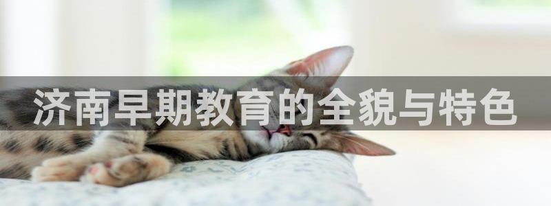 威九国际app大全下载安装：济南早期教育的全貌与特色