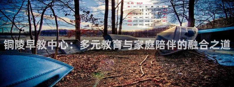 66m成长模式视频威九国际视频：铜陵早教中心：多元教育与家庭陪伴的融合之道