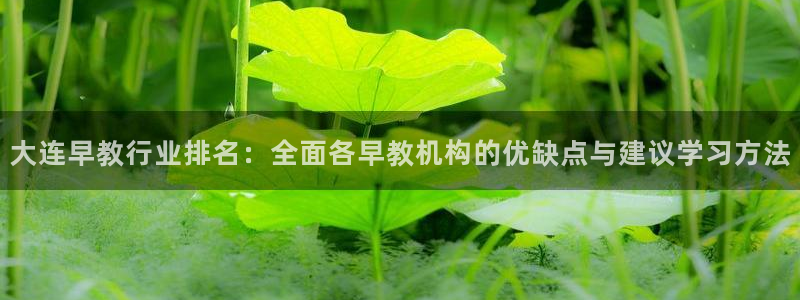 威九国际fX8x：大连早教行业排名：全面各早教机构的优缺点与建议学习方法