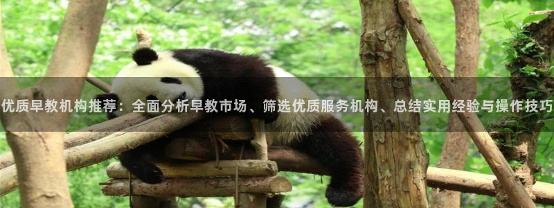 威九国际狂飚电影：优质早教机构推荐：全面分析早教市场、筛选优质服务机构、总结实用