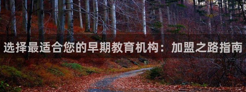 威九国际78m：选择最适合您的早期教育机构：加盟之路指南