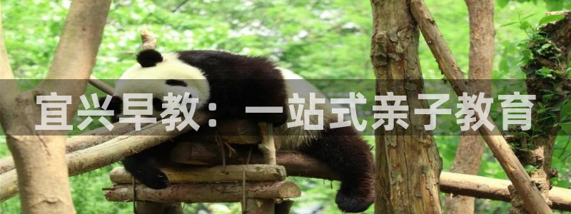 保定威九网络科技有限公司招聘:宜兴早教:一站式亲子教育