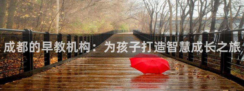 威九国际EVA:成都的早教机构:为孩子打造智慧成长之旅