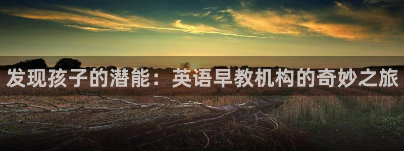 威九国际v96bet下载：发现孩子的潜能：英语早教机构的奇妙之旅