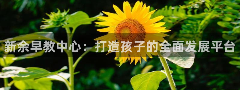 威九国际女演员名单介绍：新余早教中心：打造孩子的全面发展平台