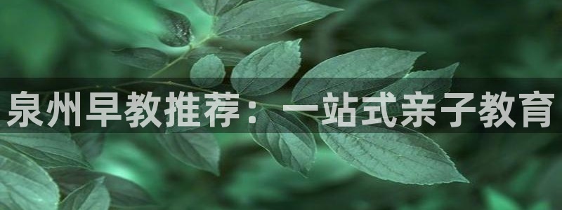 威九国际可以退钱吗怎么退的：泉州早教推荐：一站式亲子教育