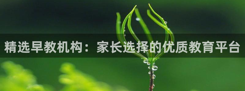 威九国际网站怎么样可靠吗：精选早教机构：家长选择的优质教育平台