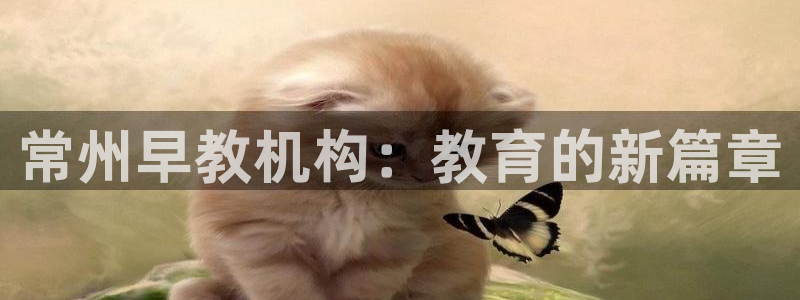 威九国际网站入口官网免费:常州早教机构:教育的新篇章