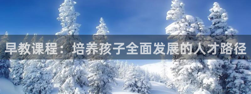 威九国际演员名单：早教课程：培养孩子全面发展的人才路径