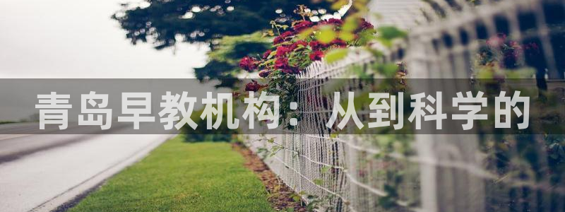 威九国际66在线：青岛早教机构：从到科学的