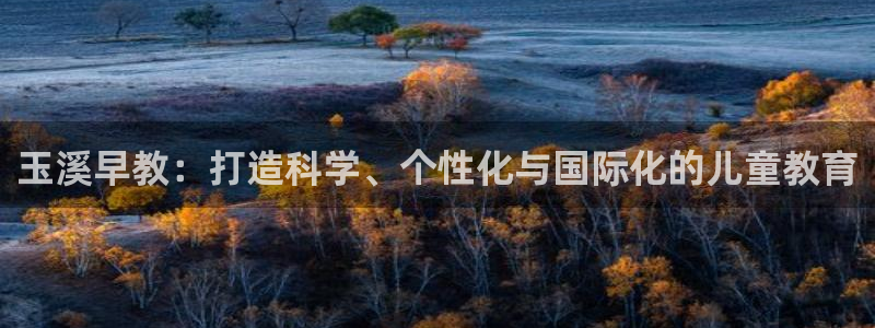威九国际app网站安全吗：玉溪早教：打造科学、个性化与国际化的儿童教育