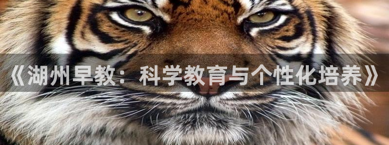 威九国际精：《湖州早教：科学教育与个性化培养》