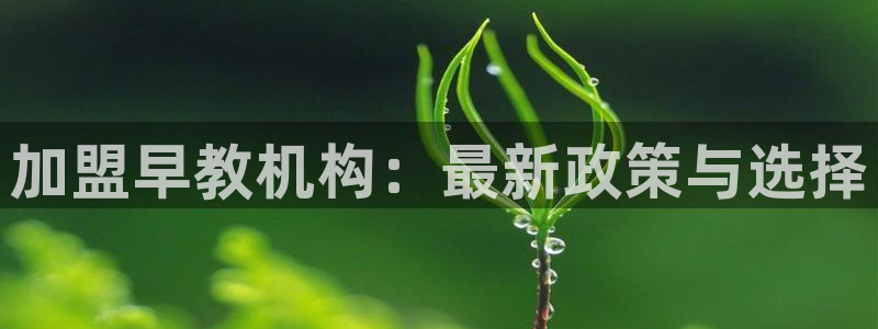 威九国际可以赚到钱:加盟早教机构:最新政策与选择
