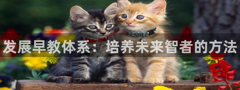 威九国际合作伙伴有哪些：发展早教体系：培养未来智者的方法