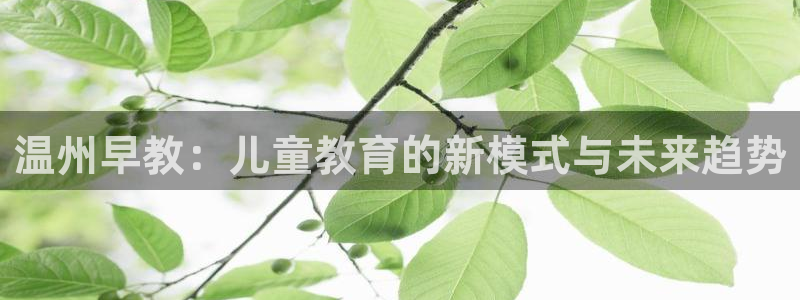 威九国际女明星：温州早教：儿童教育的新模式与未来趋势
