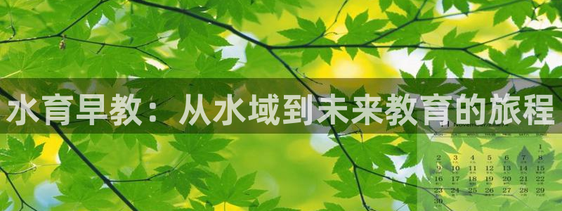 威九国际旗下艺人都有谁：水育早教：从水域到未来教育的旅程