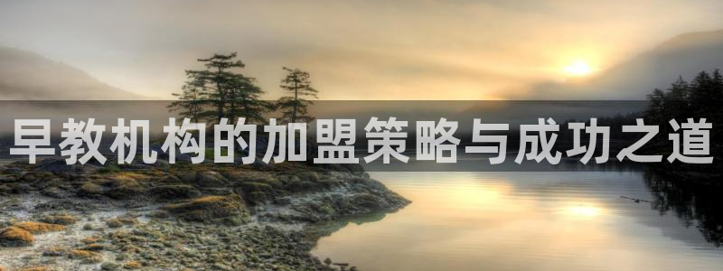 威九国际78mB官网版：早教机构的加盟策略与成功之道
