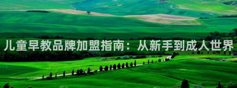 威九国际78m78免费：儿童早教品牌加盟指南：从新手到成人世界