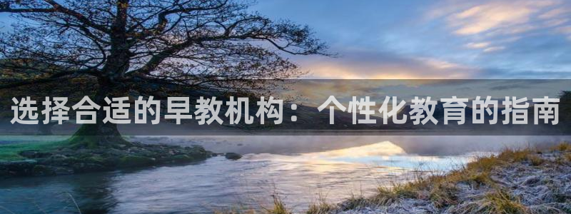 保定威九网络科技有限公司:选择合适的早教机构:个性化教育的指南