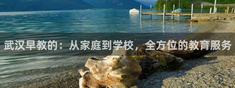 威九国际的演员：武汉早教的：从家庭到学校，全方位的教育服务