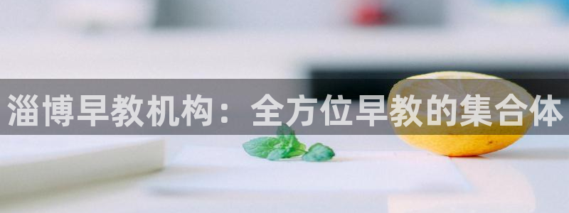 威九code6070:淄博早教机构:全方位早教的集合体