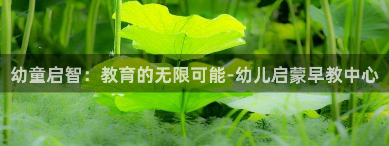 威九国际清砖码头在哪：幼童启智：教育的无限可能-幼儿启蒙早教中心