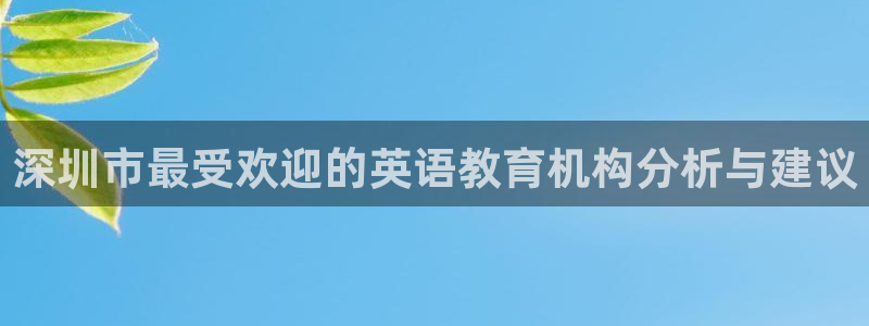 威九国际下载:深圳市最受欢迎的英语教育机构分析与建议
