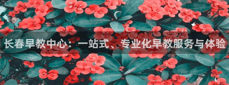 威九国际78cm：长春早教中心：一站式、专业化早教服务与体验