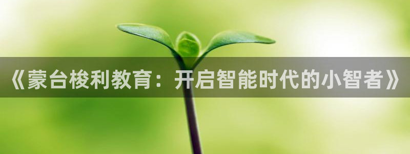 威九国际地址：《蒙台梭利教育：开启智能时代的小智者》