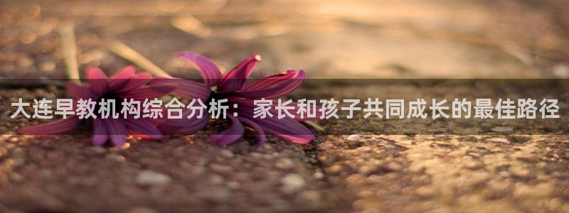 66m成长模式视频威九国际视频：大连早教机构综合分析：家长和孩子共同成长的最佳路