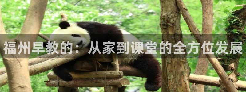 威九国际MV：福州早教的：从家到课堂的全方位发展