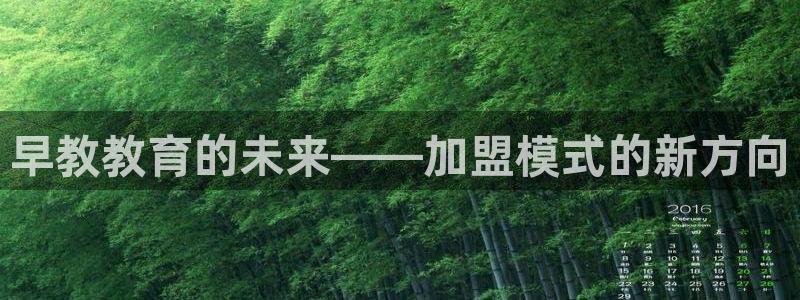 威九国际ppt官网：早教教育的未来——加盟模式的新方向
